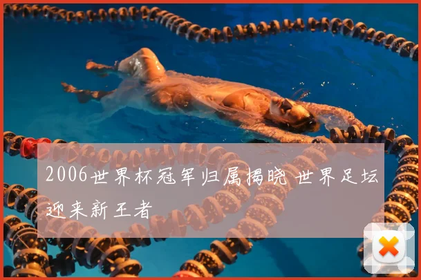 2006世界杯冠军归属揭晓 世界足坛迎来新王者