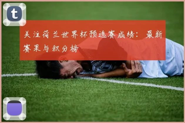 关注荷兰世界杯预选赛成绩：最新赛果与积分榜