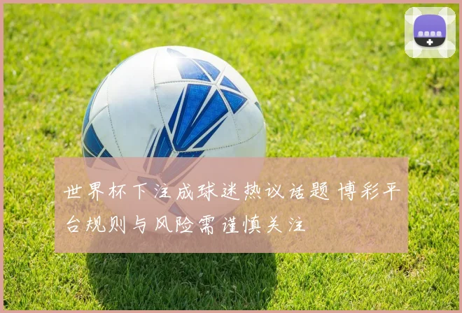 世界杯下注成球迷热议话题 博彩平台规则与风险需谨慎关注