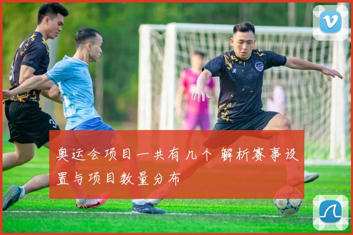 奥运会项目一共有几个 解析赛事设置与项目数量分布