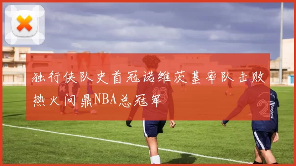 独行侠队史首冠诺维茨基率队击败热火问鼎NBA总冠军