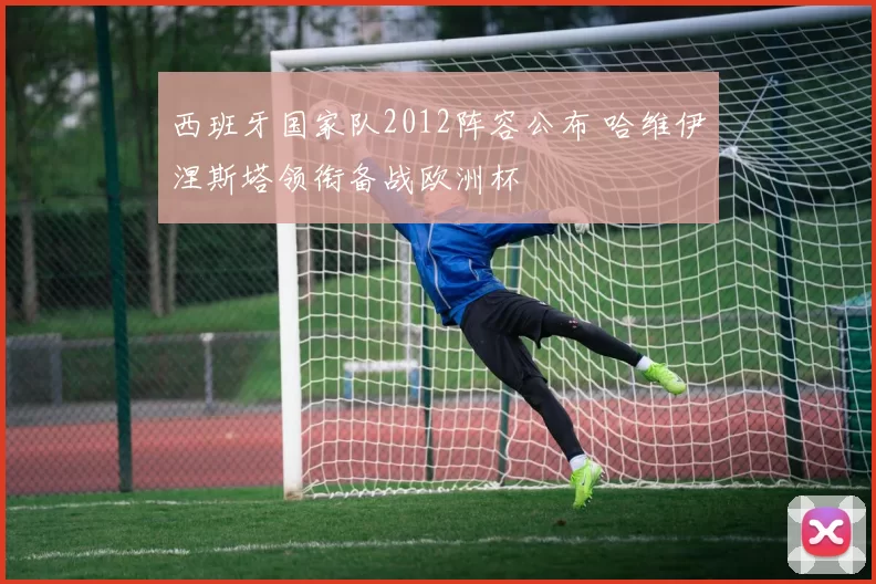 西班牙国家队2012阵容公布 哈维伊涅斯塔领衔备战欧洲杯