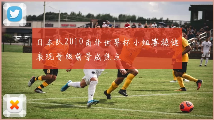 日本队2010南非世界杯小组赛稳健表现晋级前景成焦点